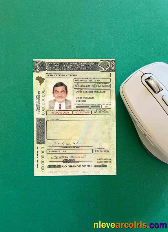 Brazil driving license (Rio Grande do Sul) photolook